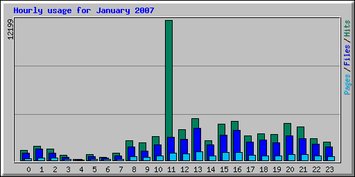 Hourly usage for January 2007