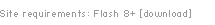 Click here to download flash.